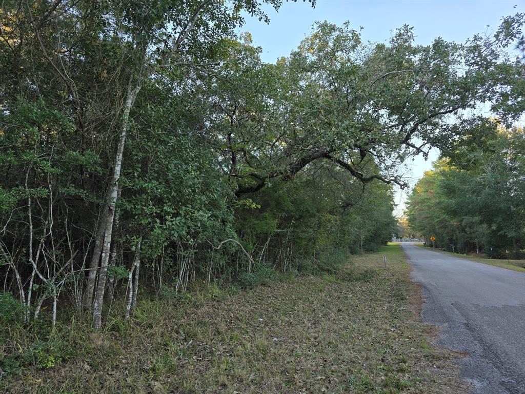 Lot 5 Tepee Trail, Hockley, Texas image 9