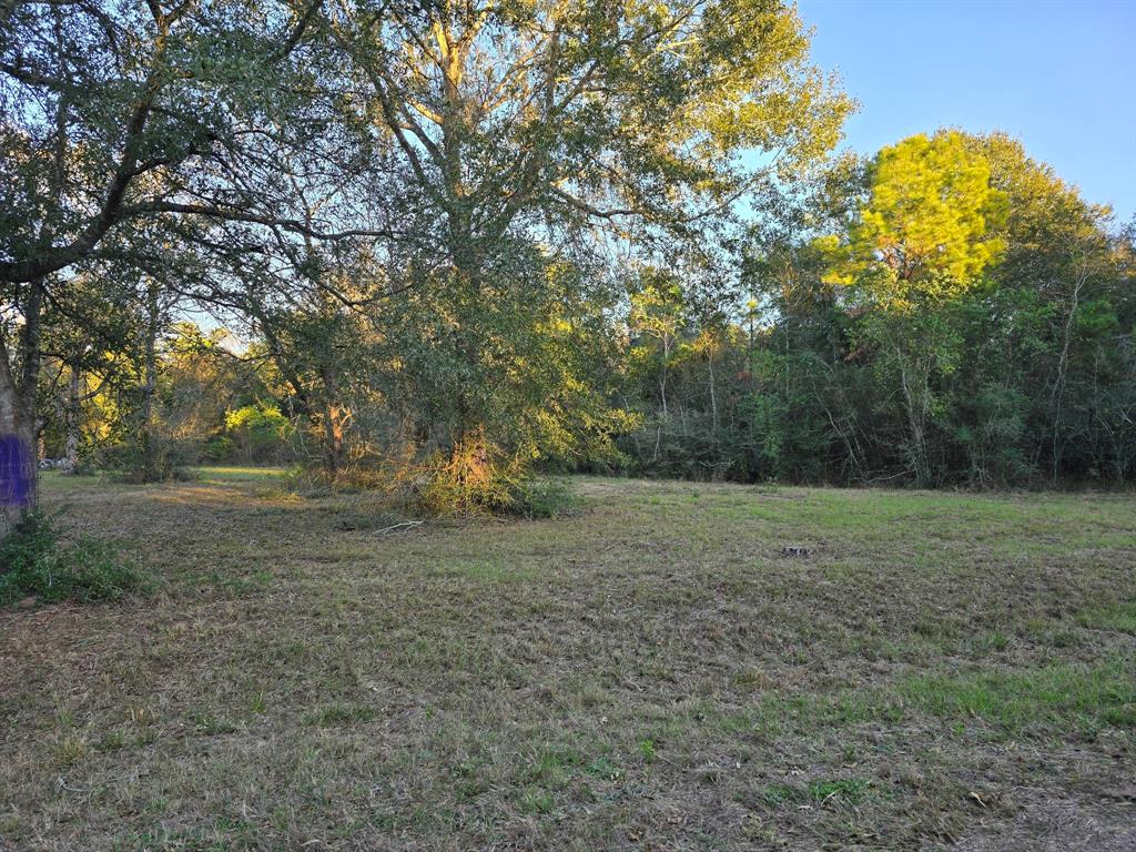 Lot 5 Tepee Trail, Hockley, Texas image 15