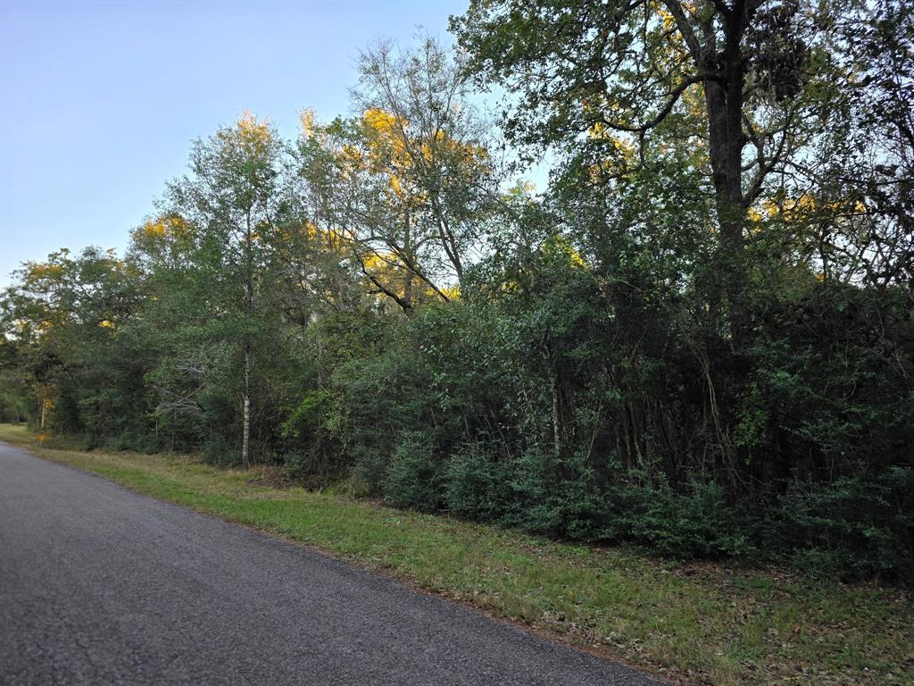 Lot 5 Tepee Trail, Hockley, Texas image 7