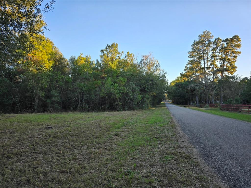 Lot 5 Tepee Trail, Hockley, Texas image 17