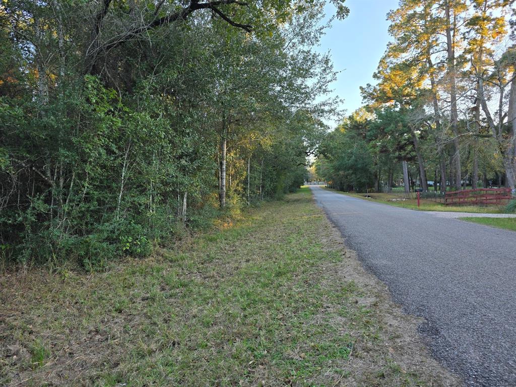 Lot 5 Tepee Trail, Hockley, Texas image 10