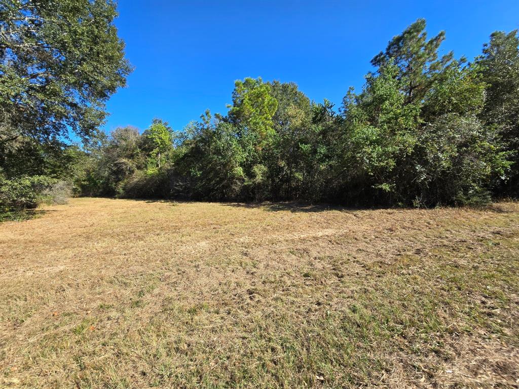 Lot 5 Tepee Trail, Hockley, Texas image 20