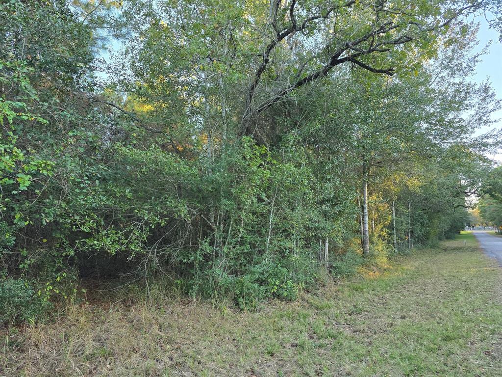 Lot 5 Tepee Trail, Hockley, Texas image 11