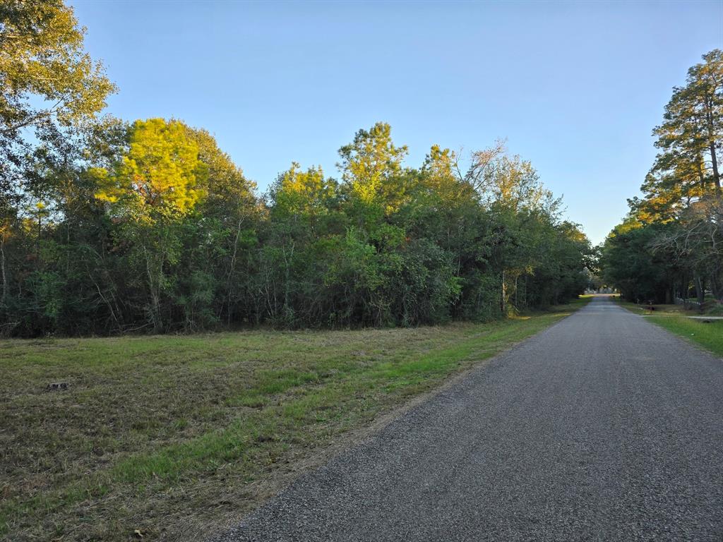 Lot 5 Tepee Trail, Hockley, Texas image 4