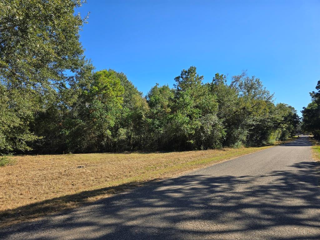 Lot 5 Tepee Trail, Hockley, Texas image 1