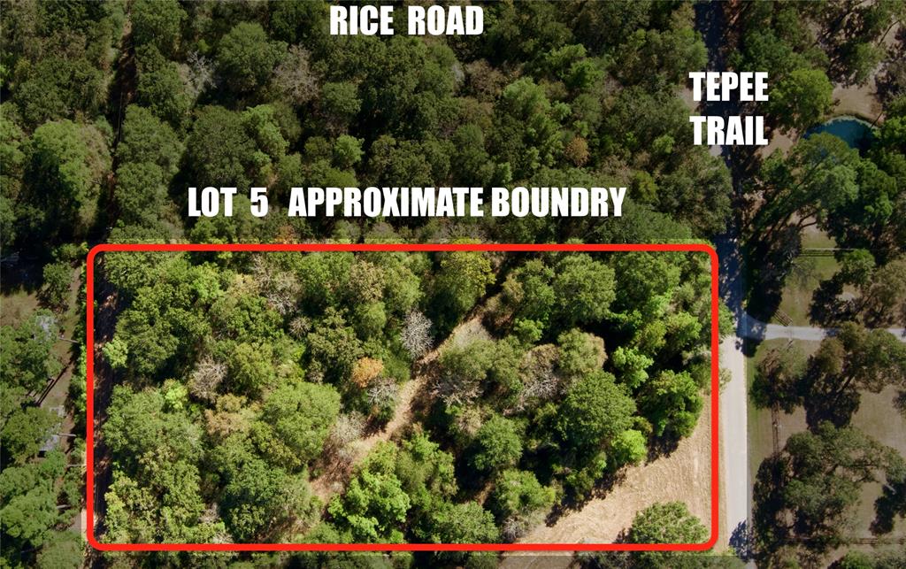 Lot 5 Tepee Trail, Hockley, Texas image 3