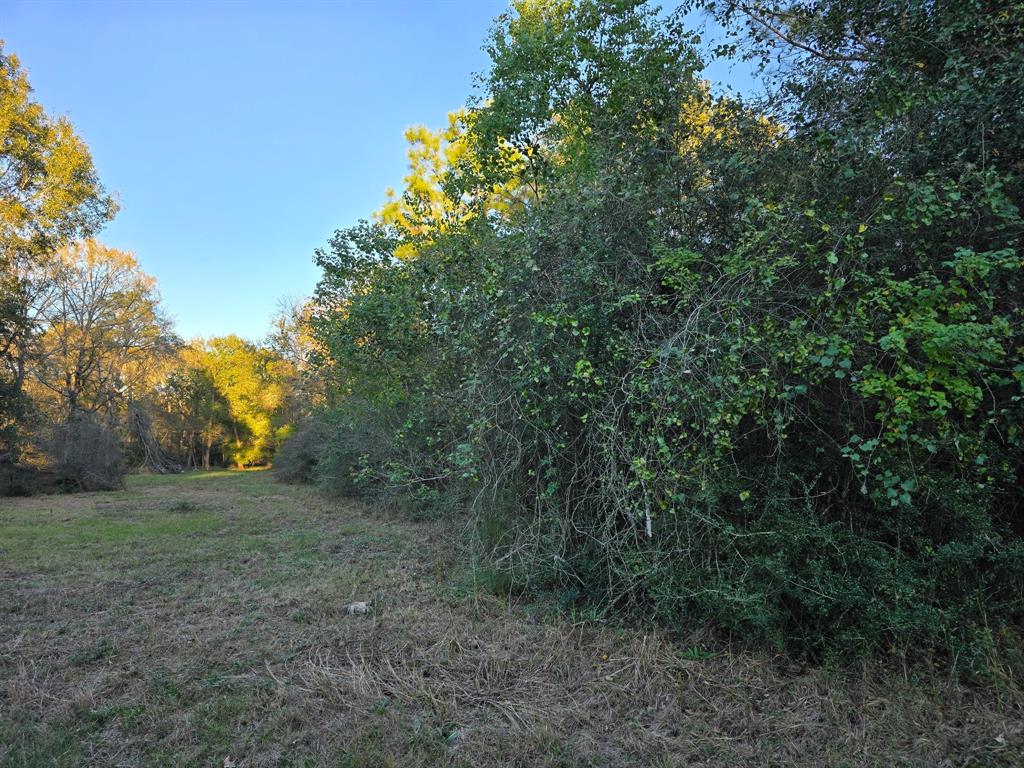 Lot 5 Tepee Trail, Hockley, Texas image 12