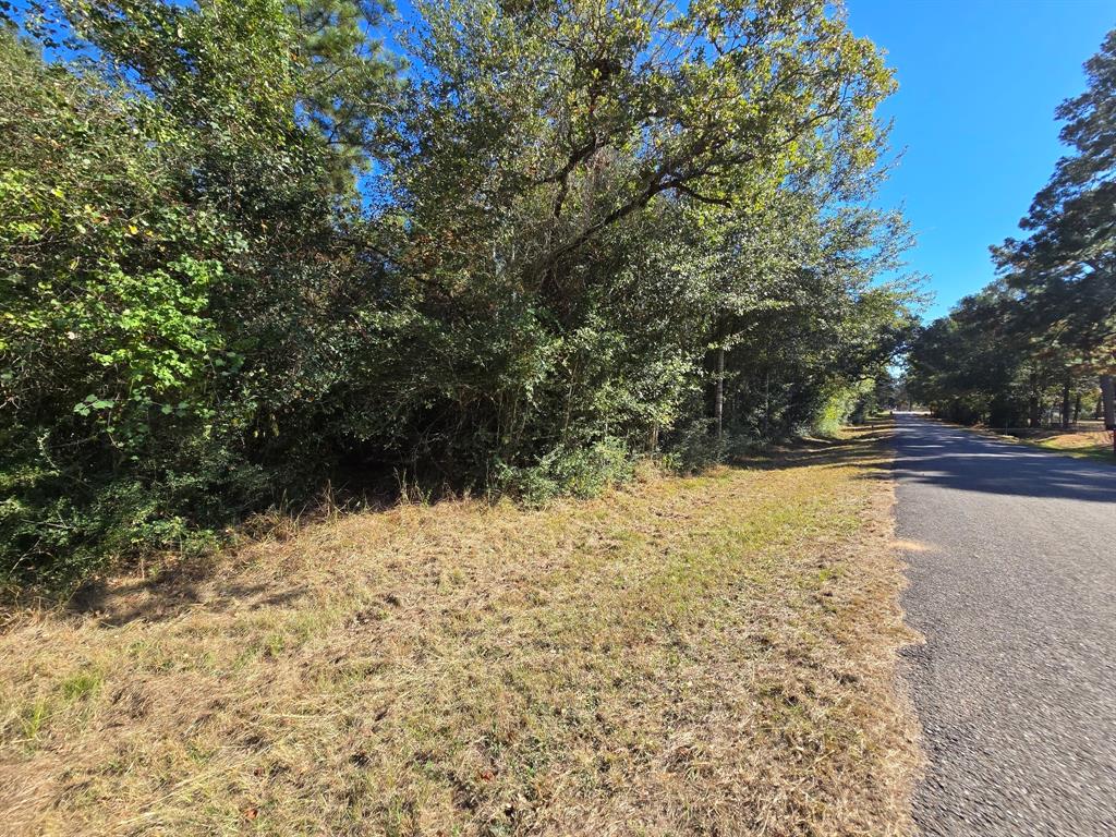 Lot 5 Tepee Trail, Hockley, Texas image 19