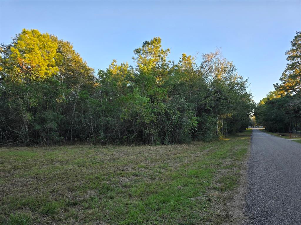 Lot 5 Tepee Trail, Hockley, Texas image 13