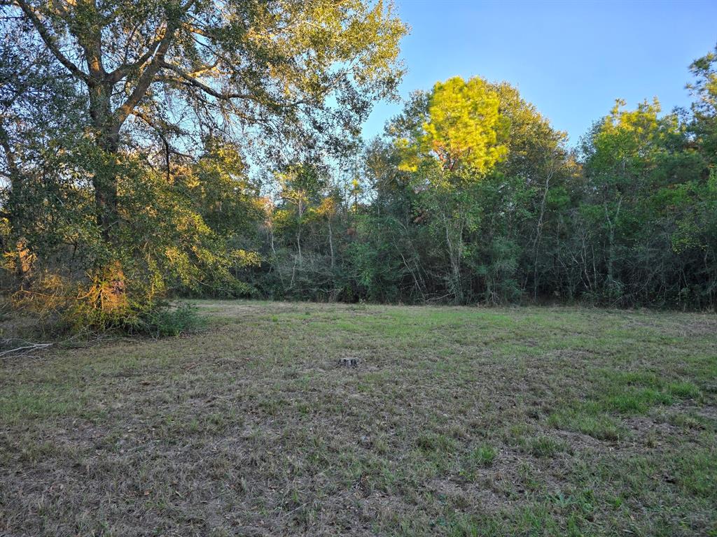 Lot 5 Tepee Trail, Hockley, Texas image 14