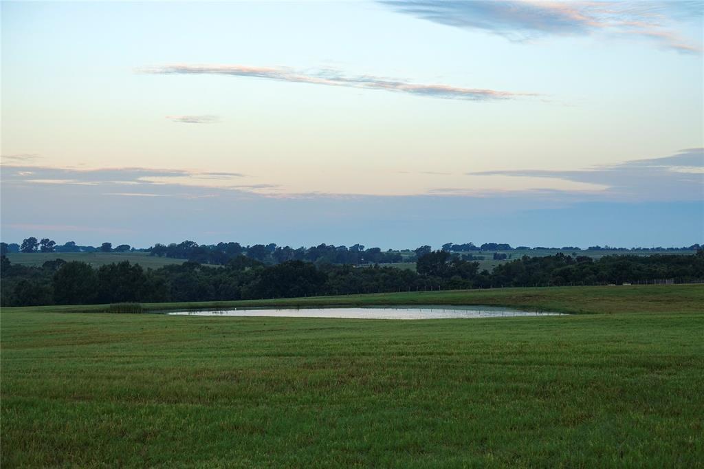 000 Tract #1 Whitehall Ranch Road, Navasota, Texas image 23