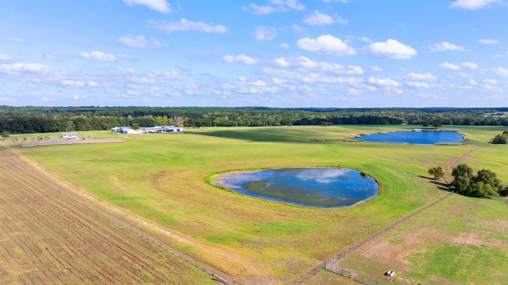 000 Tract #1 Whitehall Ranch Road, Navasota, Texas image 9