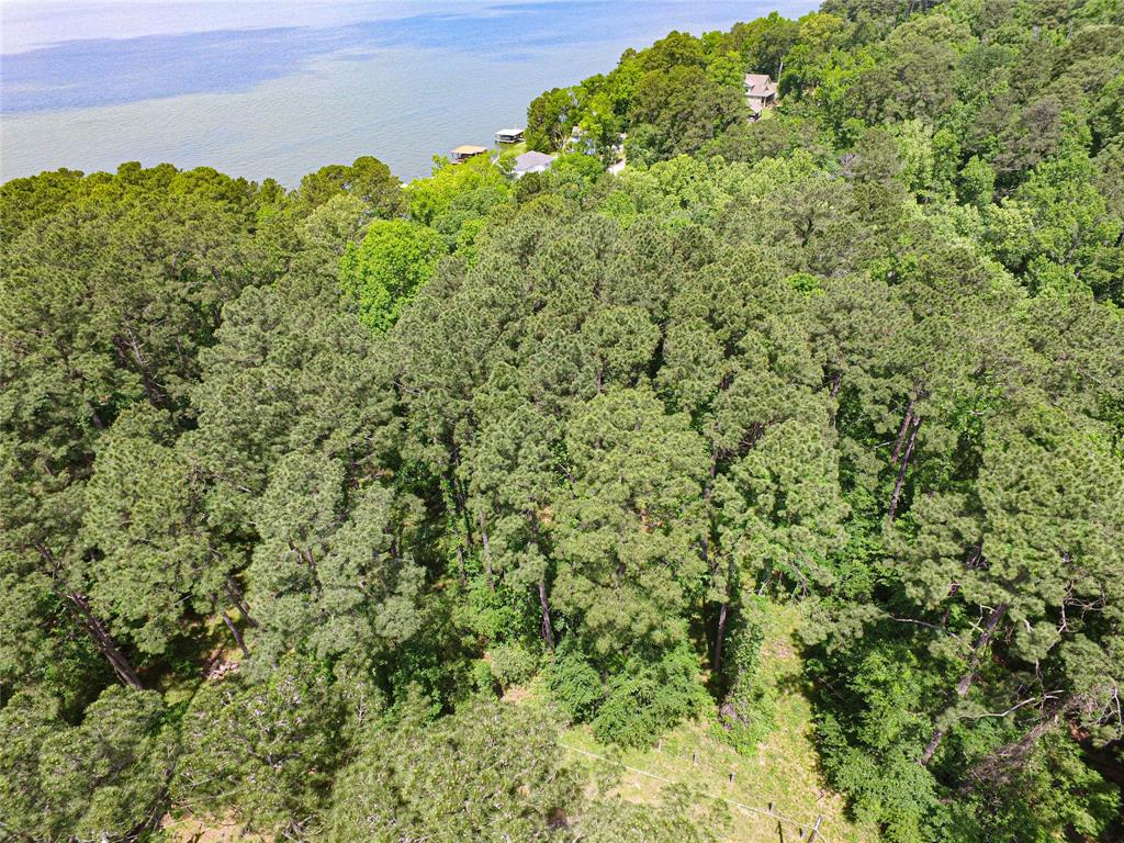 TBD S Grand Pine Circle, Livingston, Texas image 7