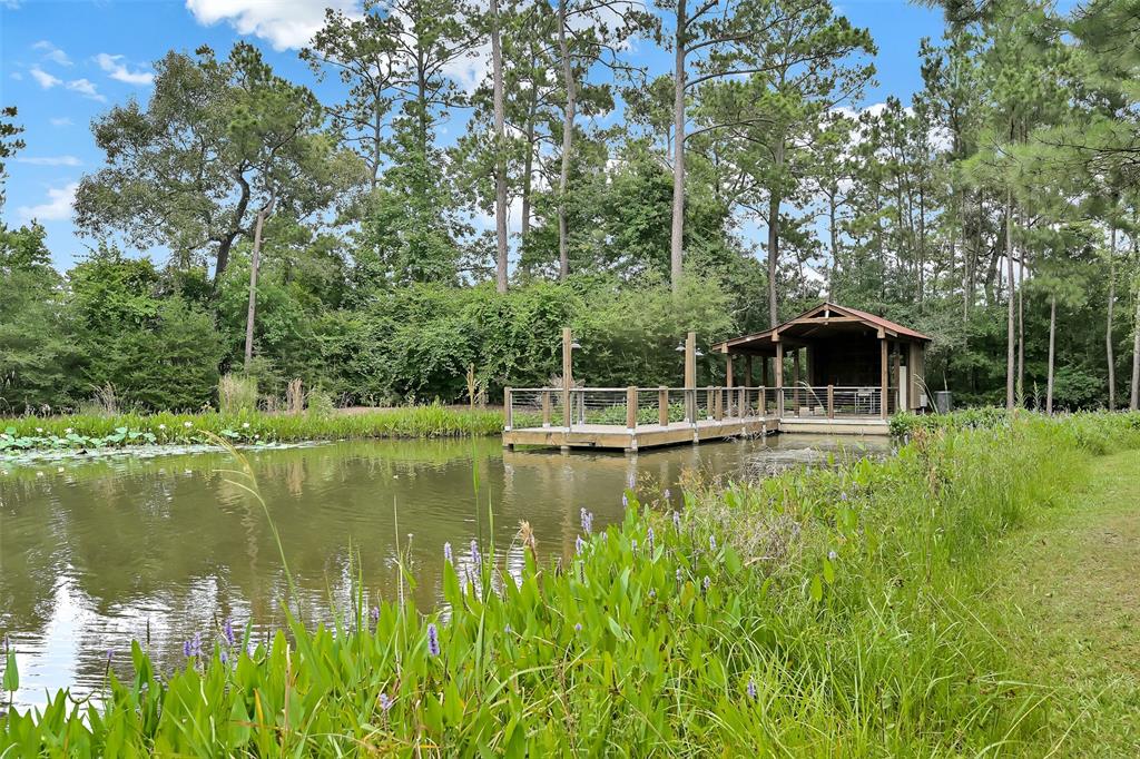 17222 Blanton Forest Drive, Humble, Texas image 37