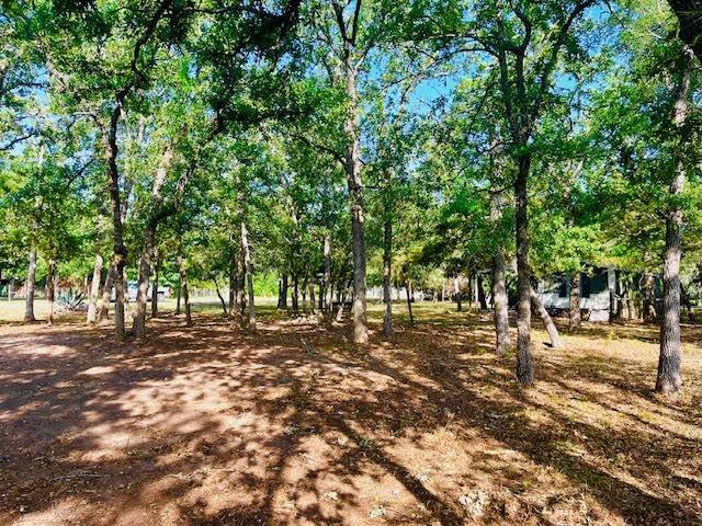 109 Cedar Ln Lane, Somerville, Texas image 5