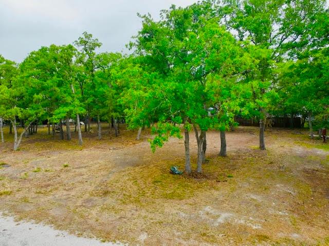109 Cedar Ln Lane, Somerville, Texas image 1
