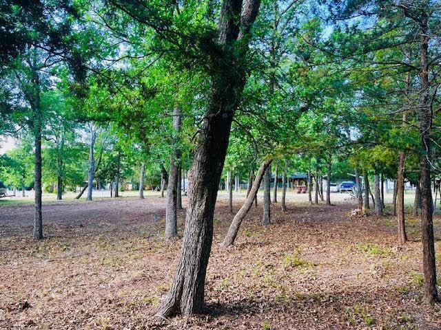 109 Cedar Ln Lane, Somerville, Texas image 7