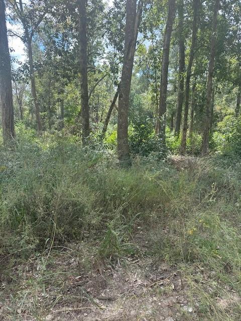 LOT 64 N George Jones Road, Livingston, Texas image 5