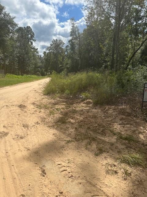 LOT 64 N George Jones Road, Livingston, Texas image 3