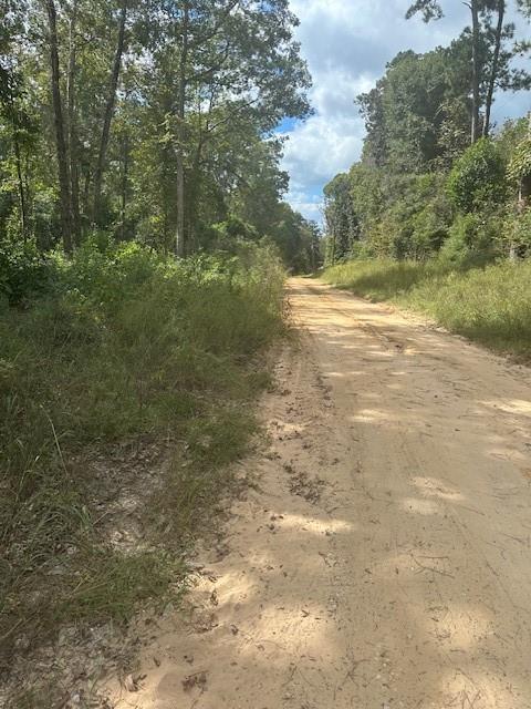 LOT 64 N George Jones Road, Livingston, Texas image 4