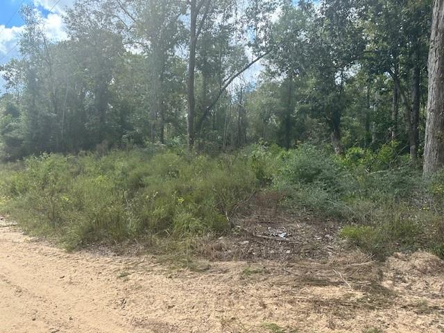 LOT 64 N George Jones Road, Livingston, Texas image 6