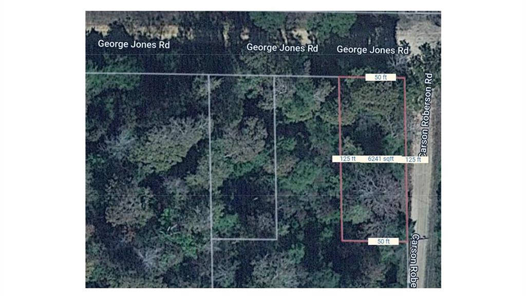 LOT 64 N George Jones Road, Livingston, Texas image 8