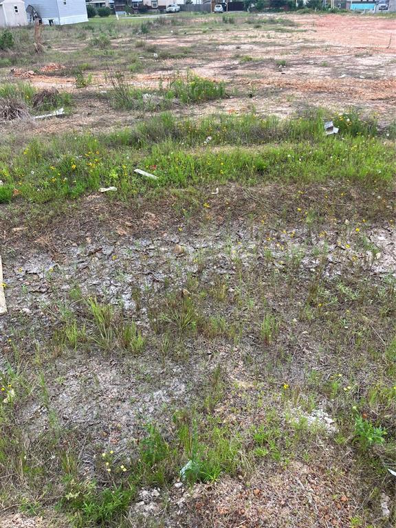 2023 Washoe Lake Court, Conroe, Texas image 2