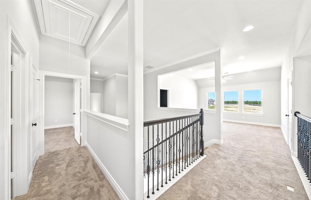 21027 Casting Line Court, Cypress, Texas image 25