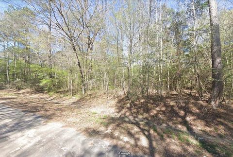 Photo of 0 Hunters Trail, New Caney, TX 77357 (MLS # 16136543)