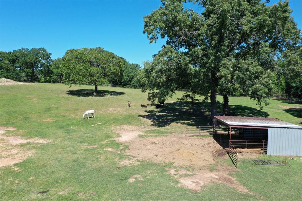3662 Anderson County Rd 359, Palestine, Texas image 36