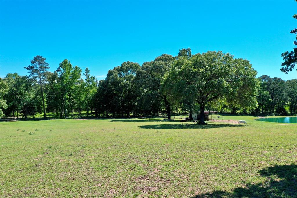 3662 Anderson County Rd 359, Palestine, Texas image 39