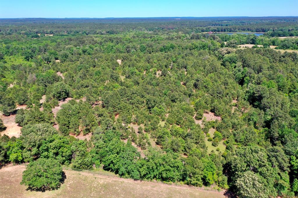 3662 Anderson County Rd 359, Palestine, Texas image 38