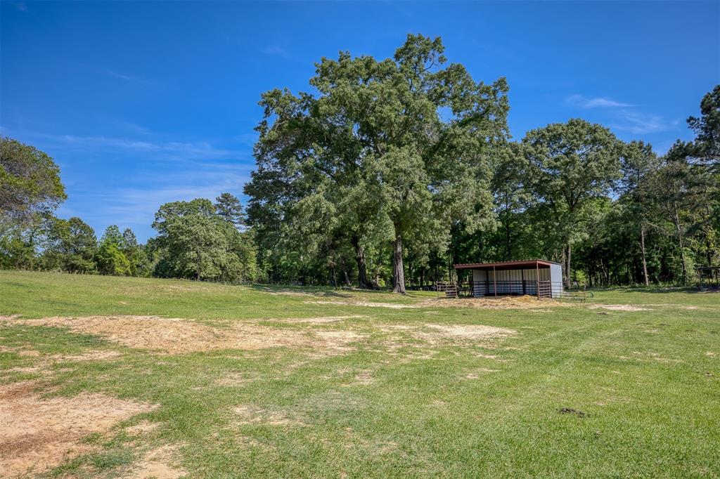 3662 Anderson County Rd 359, Palestine, Texas image 7