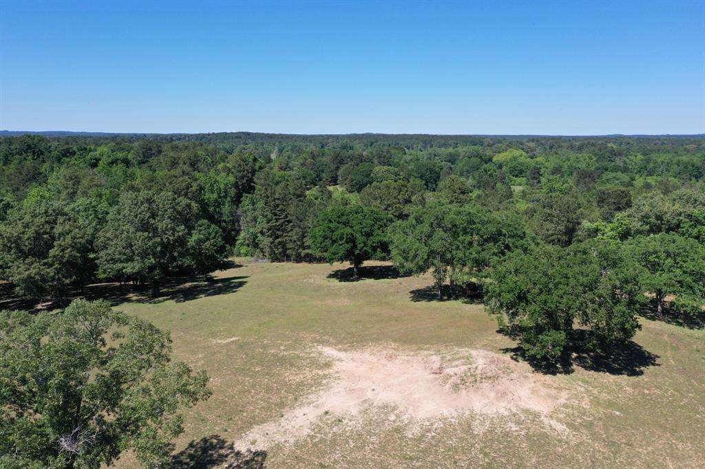 3662 Anderson County Rd 359, Palestine, Texas image 37
