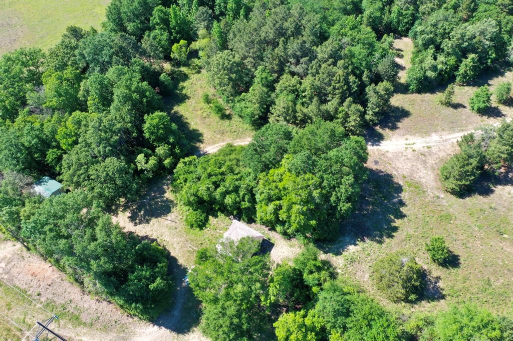 3662 Anderson County Rd 359, Palestine, Texas image 44