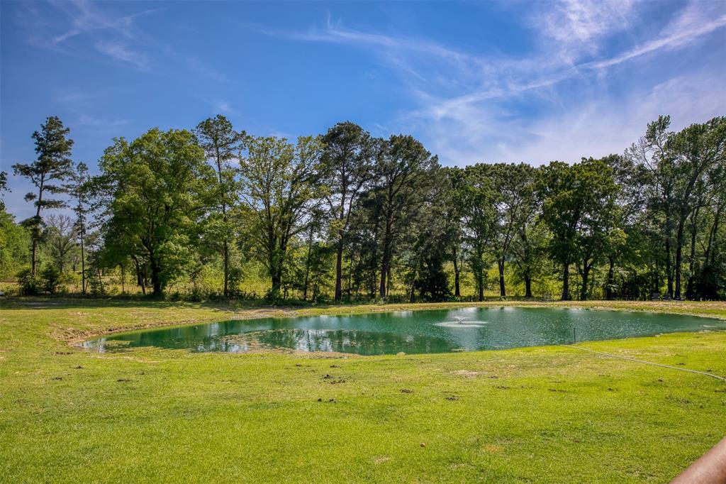 3662 Anderson County Rd 359, Palestine, Texas image 8