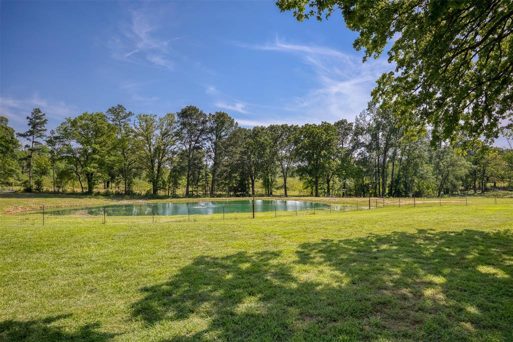 3662 Anderson County Rd 359, Palestine, Texas image 6