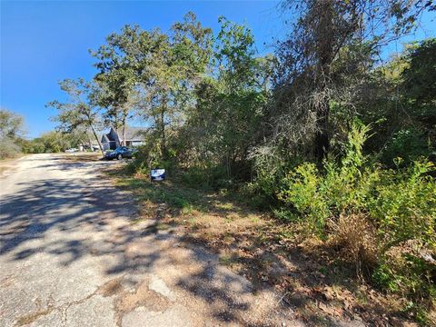 Photo of 0 Buck Ln, Hempstead, TX 77445 (MLS # 48831418)
