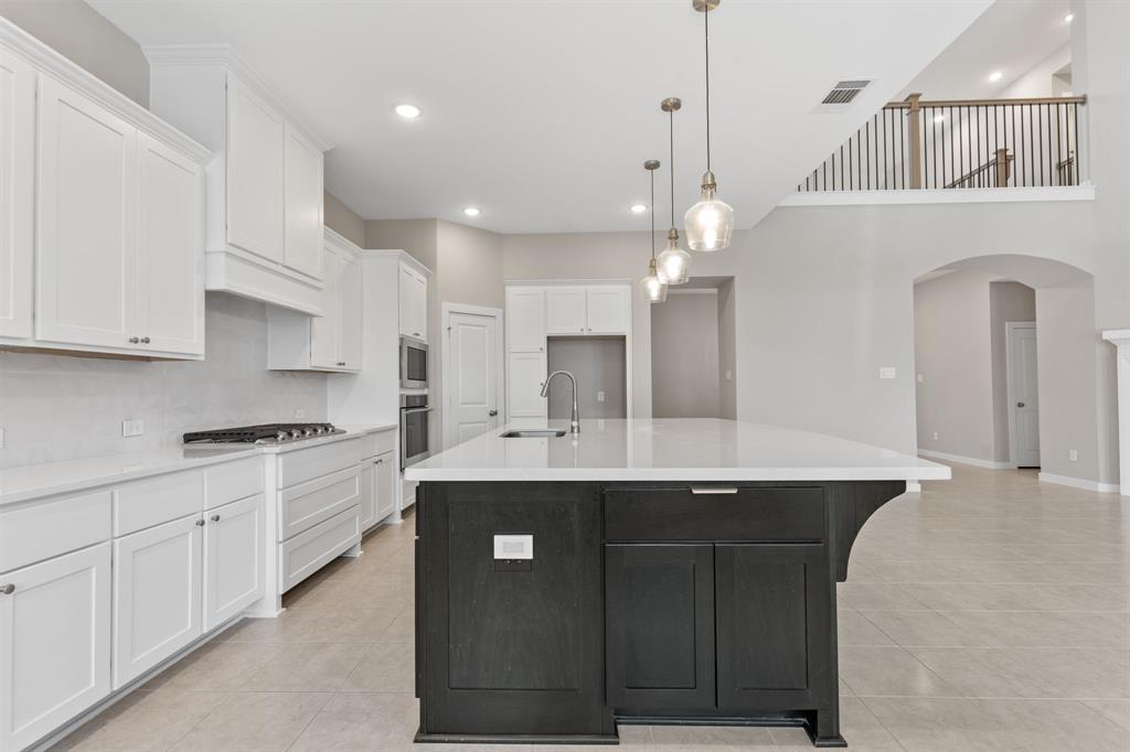 23810 Silver Liriope Lane, Katy, Texas image 15