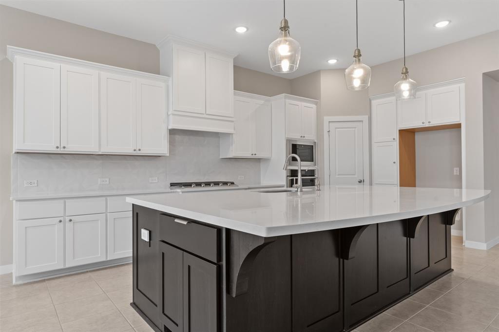 23810 Silver Liriope Lane, Katy, Texas image 14