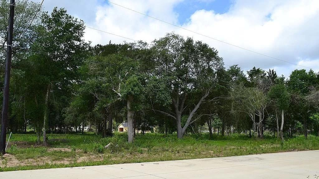 4606 Cottonwood Run, Alvin, Texas image 3