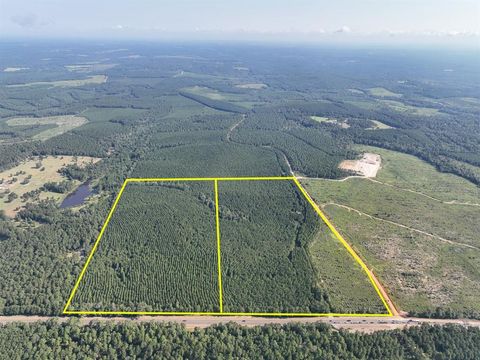 Vacant Land For Sale - 00 Hwy 190<br/> Tyler County, Woodville, TX 75979