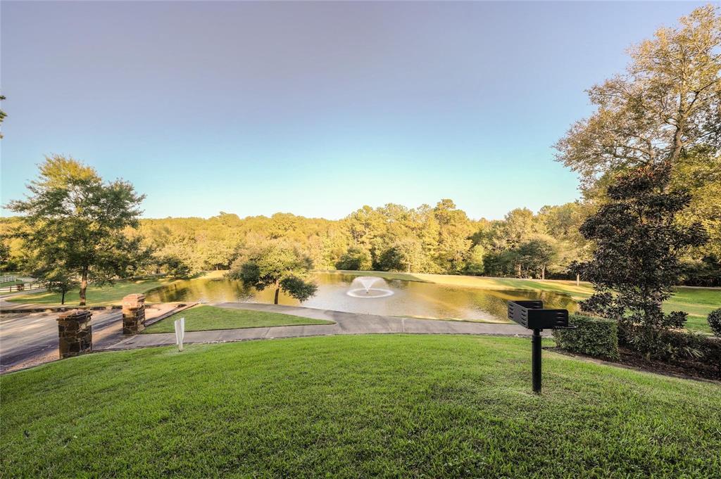 7393 Teaswood Drive, Conroe, Texas image 9