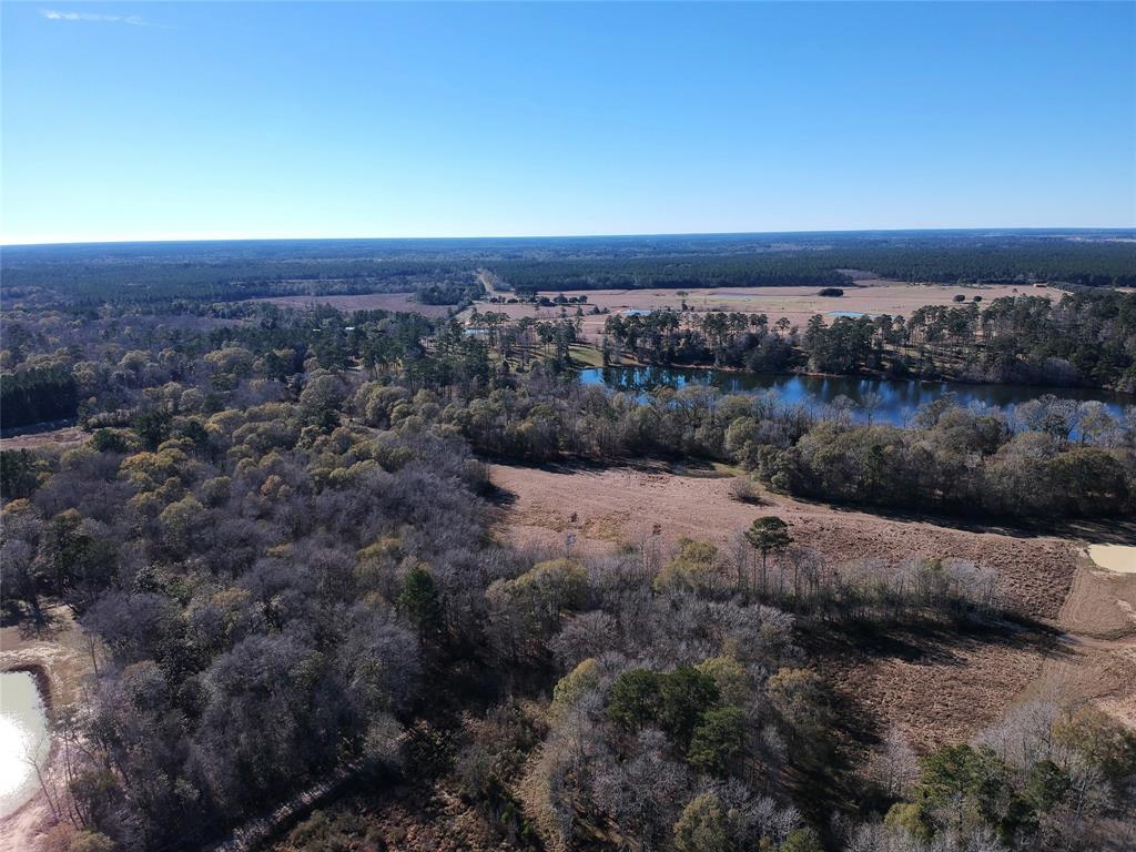 TBD Lakeland Ranch Lot 163, Hillister, Texas image 2