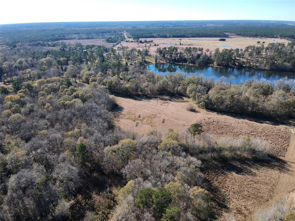 TBD Lakeland Ranch Lot 163, Hillister, Texas image 4