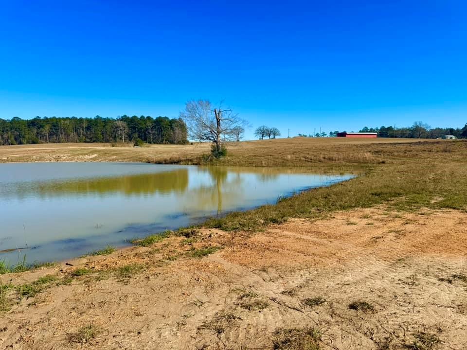 TBD Lakeland Ranch Lot 163, Hillister, Texas image 12