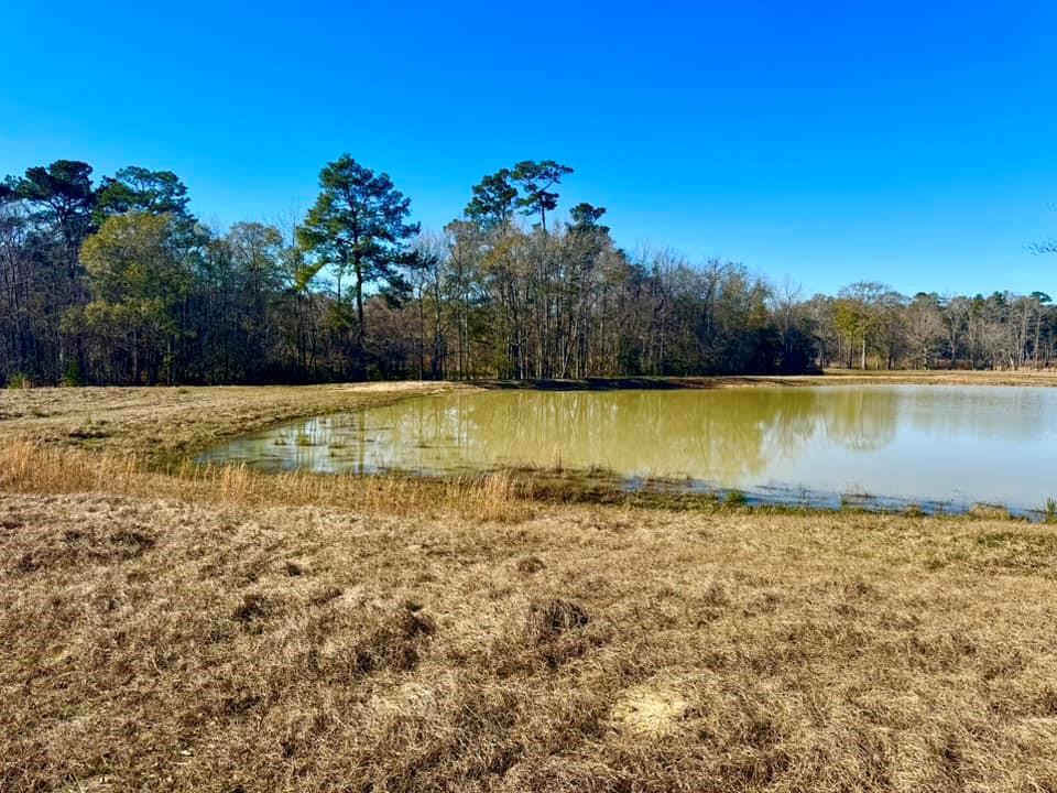 TBD Lakeland Ranch Lot 163, Hillister, Texas image 11