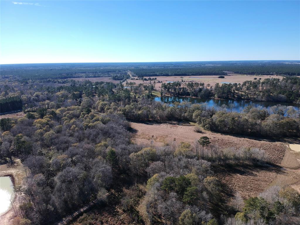 TBD Lakeland Ranch Lot 163, Hillister, Texas image 3