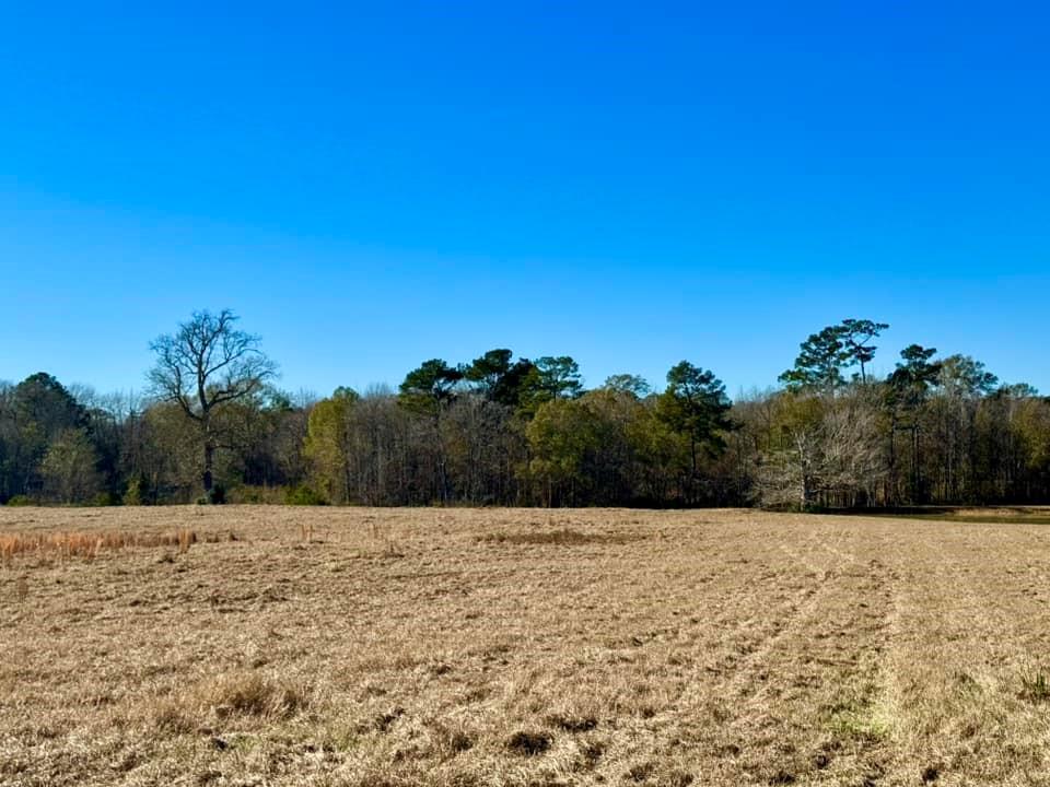 TBD Lakeland Ranch Lot 163, Hillister, Texas image 13