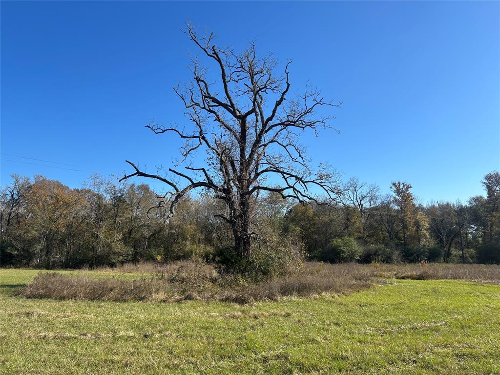 00 Fm-1736, Hempstead, Texas image 7